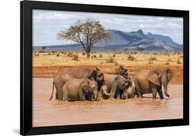 Kenya, Taita-Taveta County-Nigel Pavitt-Framed Premium Photographic Print