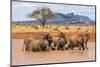 Kenya, Taita-Taveta County-Nigel Pavitt-Mounted Premium Photographic Print