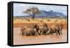 Kenya, Taita-Taveta County-Nigel Pavitt-Framed Stretched Canvas