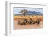 Kenya, Taita-Taveta County-Nigel Pavitt-Framed Photographic Print