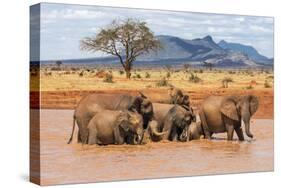 Kenya, Taita-Taveta County-Nigel Pavitt-Stretched Canvas