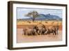 Kenya, Taita-Taveta County-Nigel Pavitt-Framed Photographic Print