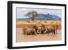 Kenya, Taita-Taveta County-Nigel Pavitt-Framed Photographic Print