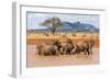 Kenya, Taita-Taveta County-Nigel Pavitt-Framed Photographic Print