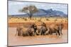 Kenya, Taita-Taveta County-Nigel Pavitt-Mounted Photographic Print