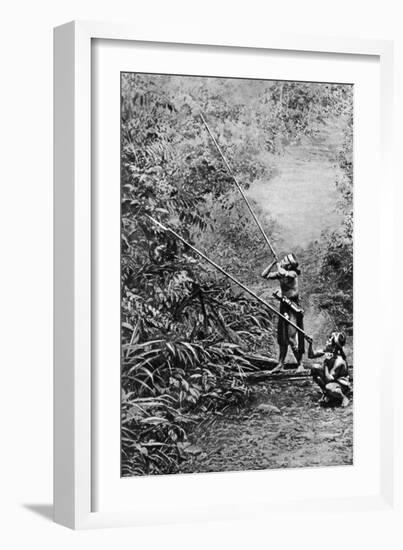 Kenyah Men Hunting for Monkeys with Blowpipes, Borneo, 1922-Charles Hose-Framed Giclee Print
