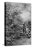 Kenyah Men Hunting for Monkeys with Blowpipes, Borneo, 1922-Charles Hose-Stretched Canvas