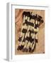 Kenyah Warrior's Jacket from Sarawak, Malaysia-null-Framed Giclee Print