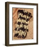 Kenyah Warrior's Jacket from Sarawak, Malaysia-null-Framed Giclee Print