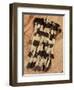 Kenyah Warrior's Jacket from Sarawak, Malaysia-null-Framed Giclee Print