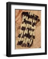 Kenyah Warrior's Jacket from Sarawak, Malaysia-null-Framed Giclee Print