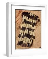 Kenyah Warrior's Jacket from Sarawak, Malaysia-null-Framed Giclee Print