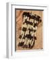 Kenyah Warrior's Jacket from Sarawak, Malaysia-null-Framed Giclee Print