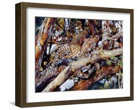 Kenyan Leopard, 1997-Odile Kidd-Framed Giclee Print