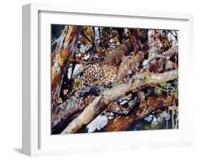 Kenyan Leopard, 1997-Odile Kidd-Framed Giclee Print