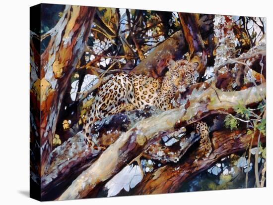 Kenyan Leopard, 1997-Odile Kidd-Stretched Canvas