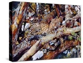 Kenyan Leopard, 1997-Odile Kidd-Stretched Canvas