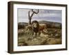 Kenyan Pride-Trevor V. Swanson-Framed Giclee Print