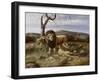 Kenyan Pride-Trevor V. Swanson-Framed Giclee Print