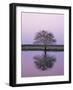 Keoladeo Ghana Np, Bharatpur, Rajasthan, India, with Egrets Roosting in Tree-Jean-pierre Zwaenepoel-Framed Photographic Print