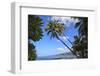 Keomo Beach near Kealakekua Bay, Captain Cook, North Kona area, Big Island, Hawaii, USA-Stuart Westmorland-Framed Photographic Print