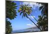 Keomo Beach near Kealakekua Bay, Captain Cook, North Kona area, Big Island, Hawaii, USA-Stuart Westmorland-Mounted Photographic Print