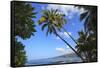 Keomo Beach near Kealakekua Bay, Captain Cook, North Kona area, Big Island, Hawaii, USA-Stuart Westmorland-Framed Stretched Canvas