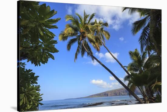 Keomo Beach near Kealakekua Bay, Captain Cook, North Kona area, Big Island, Hawaii, USA-Stuart Westmorland-Stretched Canvas