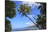 Keomo Beach near Kealakekua Bay, Captain Cook, North Kona area, Big Island, Hawaii, USA-Stuart Westmorland-Stretched Canvas