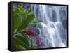 Kepirohi Waterfall, Pohnpei, Federated States of Micronesia-Michele Falzone-Framed Stretched Canvas