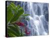 Kepirohi Waterfall, Pohnpei, Federated States of Micronesia-Michele Falzone-Stretched Canvas