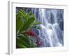 Kepirohi Waterfall, Pohnpei, Federated States of Micronesia-Michele Falzone-Framed Photographic Print