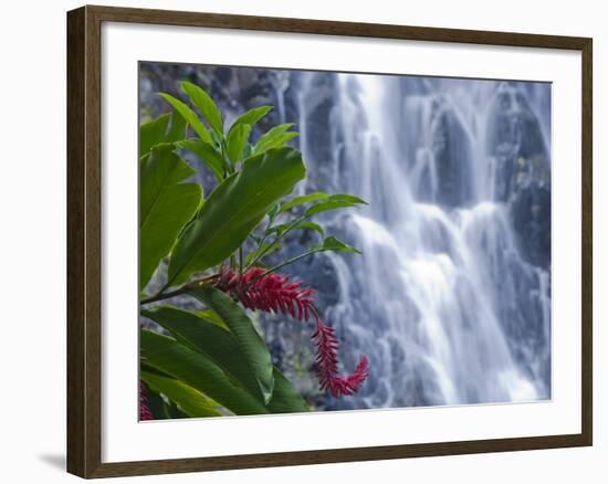 Kepirohi Waterfall, Pohnpei, Federated States of Micronesia-Michele Falzone-Framed Photographic Print