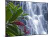 Kepirohi Waterfall, Pohnpei, Federated States of Micronesia-Michele Falzone-Mounted Photographic Print