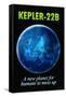 Kepler-22B New Planet to Mess Up Humor Poster-null-Framed Stretched Canvas