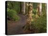 Kepler Track, Fjordland National Park, South Island, New Zealand-David Wall-Stretched Canvas