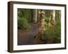 Kepler Track, Fjordland National Park, South Island, New Zealand-David Wall-Framed Photographic Print