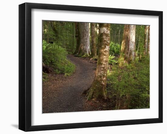 Kepler Track, Fjordland National Park, South Island, New Zealand-David Wall-Framed Photographic Print