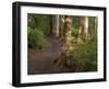 Kepler Track, Fjordland National Park, South Island, New Zealand-David Wall-Framed Photographic Print