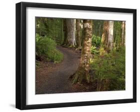 Kepler Track, Fjordland National Park, South Island, New Zealand-David Wall-Framed Photographic Print