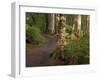 Kepler Track, Fjordland National Park, South Island, New Zealand-David Wall-Framed Photographic Print