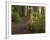 Kepler Track, Fjordland National Park, South Island, New Zealand-David Wall-Framed Photographic Print