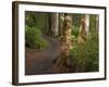 Kepler Track, Fjordland National Park, South Island, New Zealand-David Wall-Framed Photographic Print