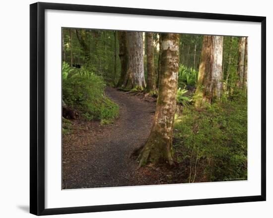 Kepler Track, Fjordland National Park, South Island, New Zealand-David Wall-Framed Photographic Print