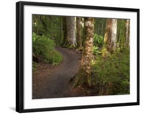 Kepler Track, Fjordland National Park, South Island, New Zealand-David Wall-Framed Photographic Print