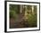 Kepler Track, Fjordland National Park, South Island, New Zealand-David Wall-Framed Photographic Print