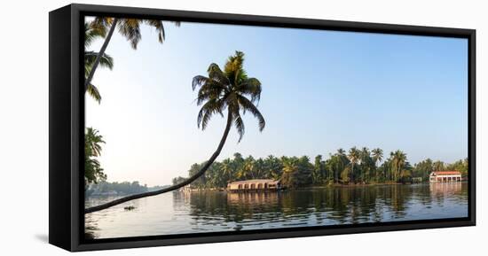 Kerala Backwaters near Alappuzha (Alleppey), Kerala, India-null-Framed Stretched Canvas