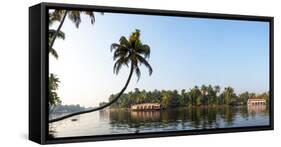 Kerala Backwaters near Alappuzha (Alleppey), Kerala, India-null-Framed Stretched Canvas