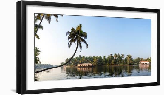 Kerala Backwaters near Alappuzha (Alleppey), Kerala, India-null-Framed Photographic Print