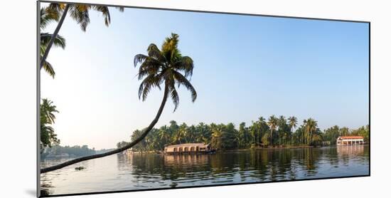 Kerala Backwaters near Alappuzha (Alleppey), Kerala, India-null-Mounted Photographic Print